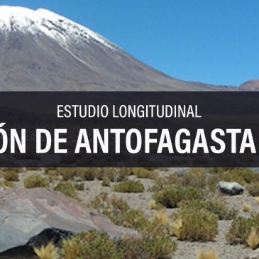 Estudio Longitudinal de la Región de Antofagasta